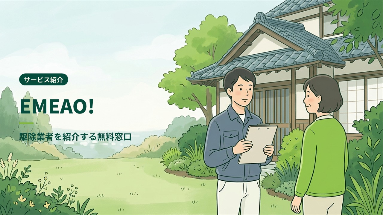 EMEAO!（エミーオ）